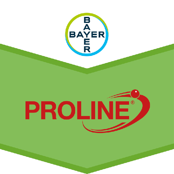 Svampemidler holder dine afgrøder sunde - Bayer Crop Science Danmark